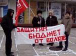 Пикет на Алтае в защиту волков