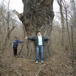 2cde7aa54b788bdec0a49de25bf62099