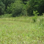 Изображение 081