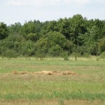 Изображение 145