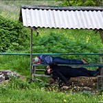 опук 2011 год место для отдыха 01