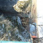 DSCF2663