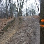 DSCF2841