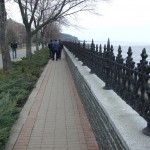 DSCF2868