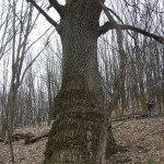 DSCF2881