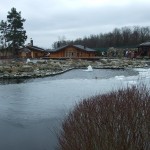 DSCF2883