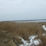 DSCF2940