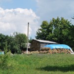 DSC_9651