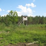 Изображение 594