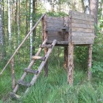 Изображение 612