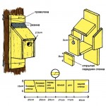 nestbox
