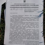 Копия IMG_2608