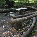 Копия IMG_2639