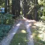 Изображение 063