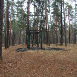 DSCF3431