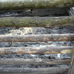 P1160654