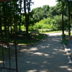 P1250981