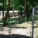P1250983
