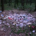 05-Запов_дне-урочище-Турчино-6-200x150