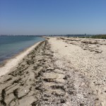 IMG_1688