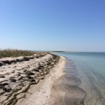 IMG_1689