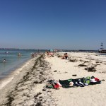 IMG_1699