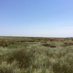 IMG_1705