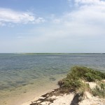 IMG_1734