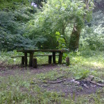 Photo0656