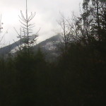 IMG_20151211_112514
