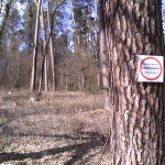 IMG_20160316_113240