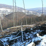 P1070466