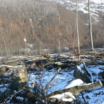 P1070467