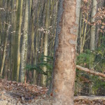 P1070494