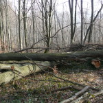 P1070501