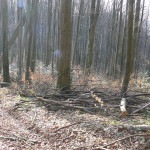 P1070507