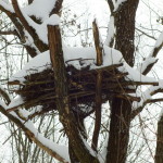 dscf8865_resize