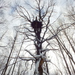 dscf8869_resize