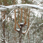 dscf8927_resize