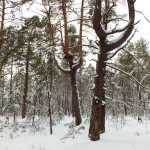 dscf8939_resize