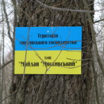 izobrazhenie-184