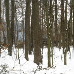 izobrazhenie-186