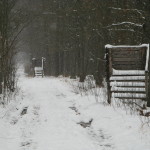 izobrazhenie-220