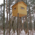 izobrazhenie-251