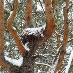 dscf8932a