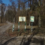 DSC00015