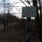 DSC00113