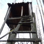 DSC00122