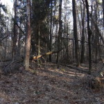 DSC00152