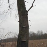 DSC00007-576x1024